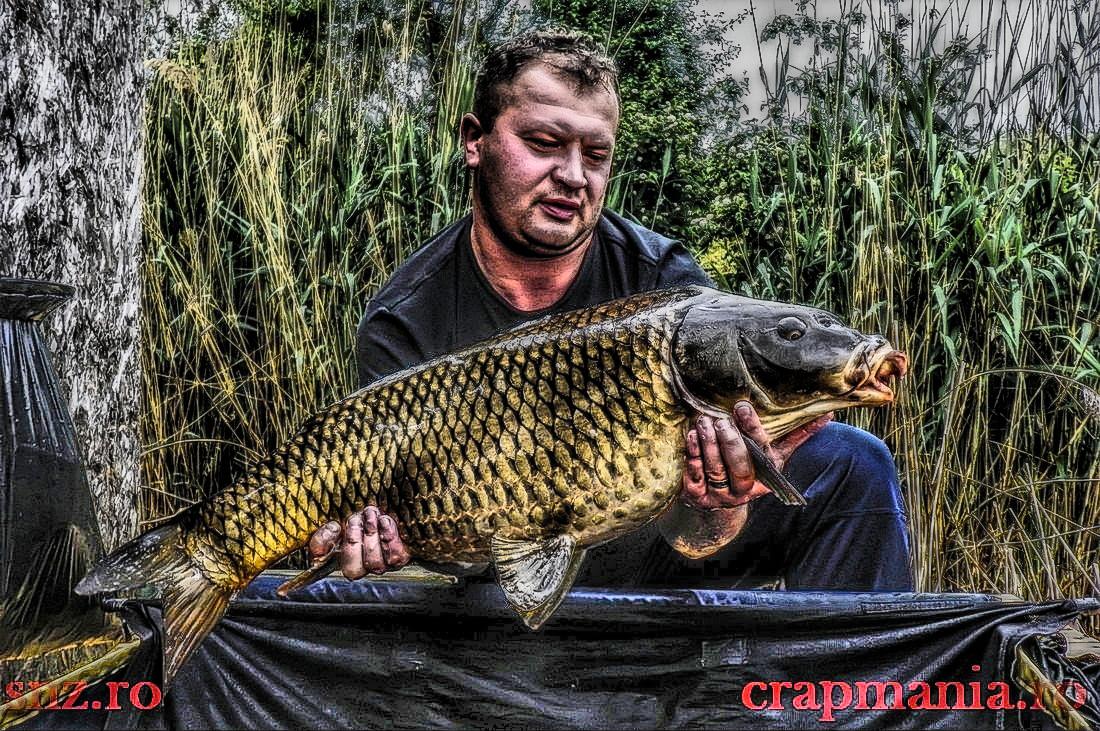 Crapmania (3) - 2013 - 1011357hdrmode2.JPG